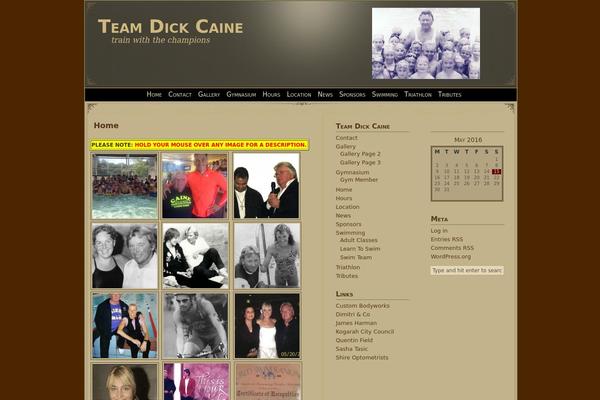 dickcaine.com site used Miscellany