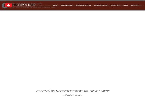 Site using Google Language Translator plugin