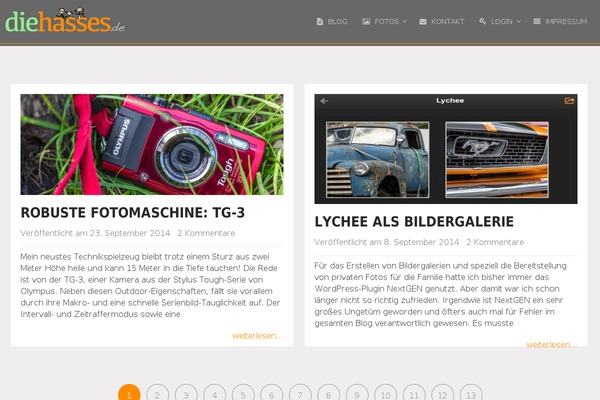 diehasses.de site used Onepage1