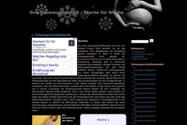 dieschwangerschaftswochen.de site used Pregnancy-10