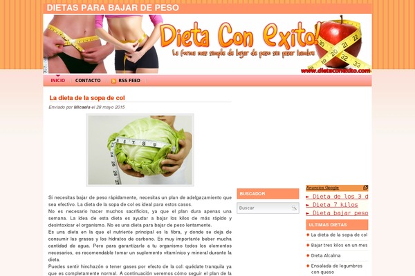 dietaconexito.com site used Dietas