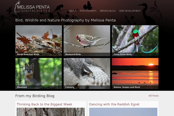 digibirder.com site used Mydigitalmind