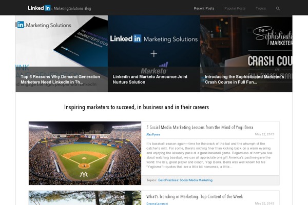 linkedin theme websites examples