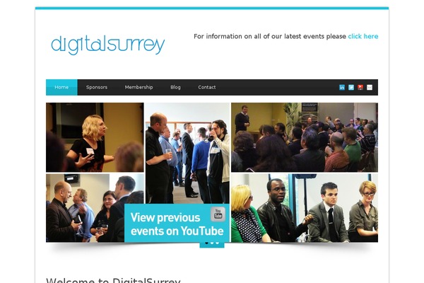 digitalsurrey.co.uk site used Blue Diamond v1.05