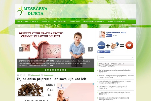 Healthstyle website example screenshot