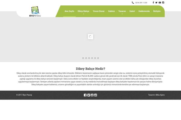 WordPress website example screenshot