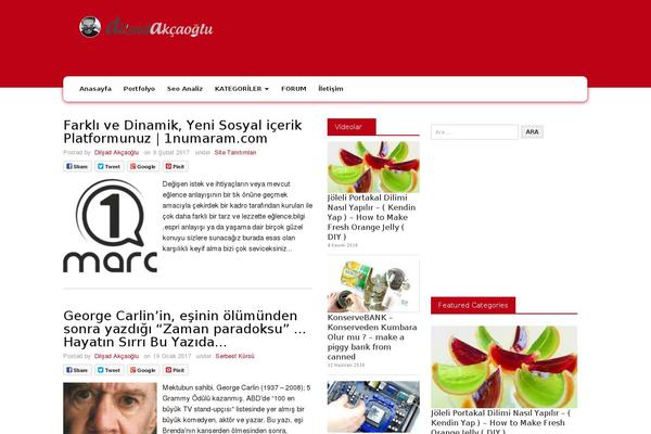 dilsadakcaoglu.com site used Vinnear