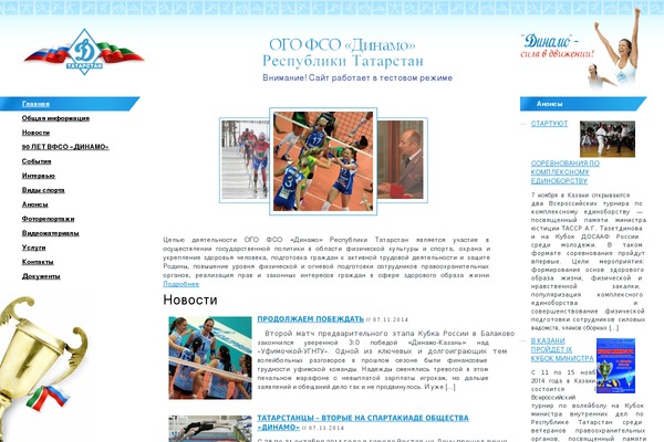 dinamo-tatarstan.ru site used Dinamo