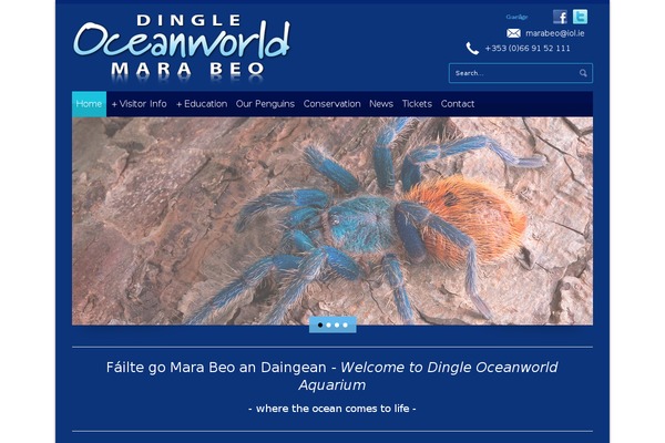 dingle-oceanworld.ie site used Dingle-oceanworld