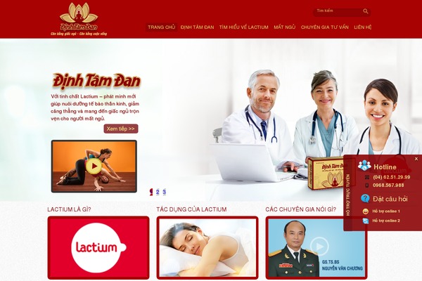 WordPress website example screenshot