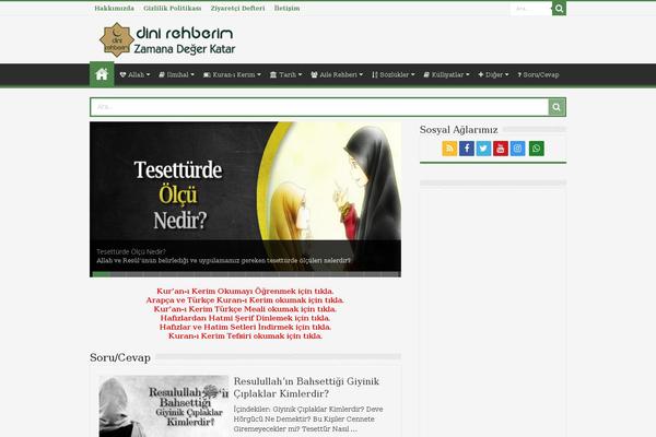 Sahifa theme site design template sample