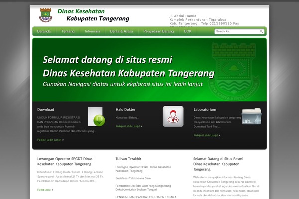 dinkes-kabtangerang.go.id site used Dinkes