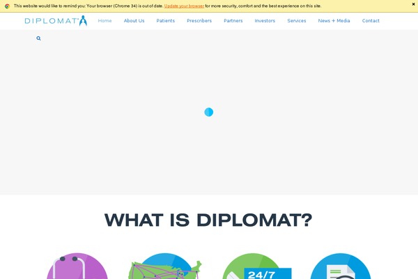 Diplomat theme websites examples