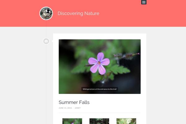 Lingonberry theme site design template sample