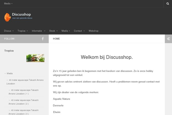 Twenty Sixteen theme site design template sample