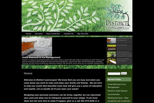 Custom Community Pro theme site design template sample