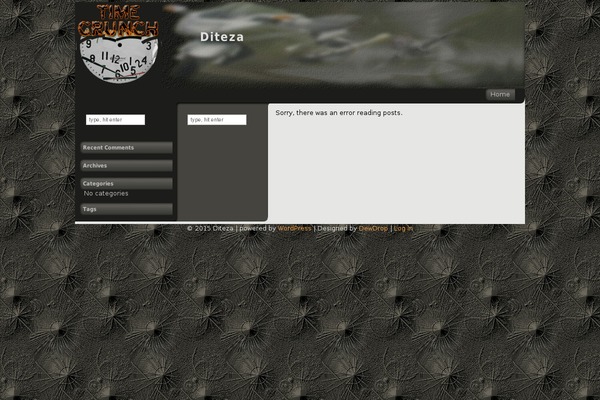 diteza.com site used TimeCrunch
