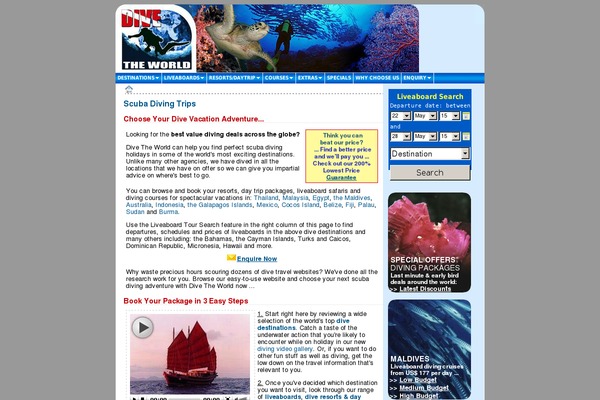 dtw theme websites examples