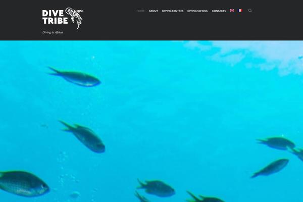 Diveit theme site design template sample