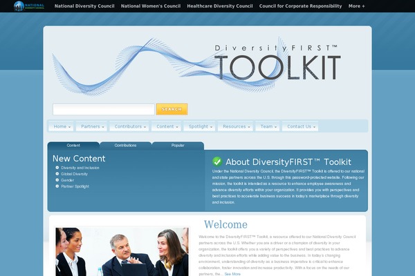 diversityfirsttoolkit.org site used Bluemist