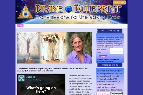 divine-blueprint.com site used Twentysixteen-child