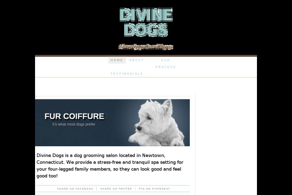 divine-dogs-ct.com site used Bluetimes