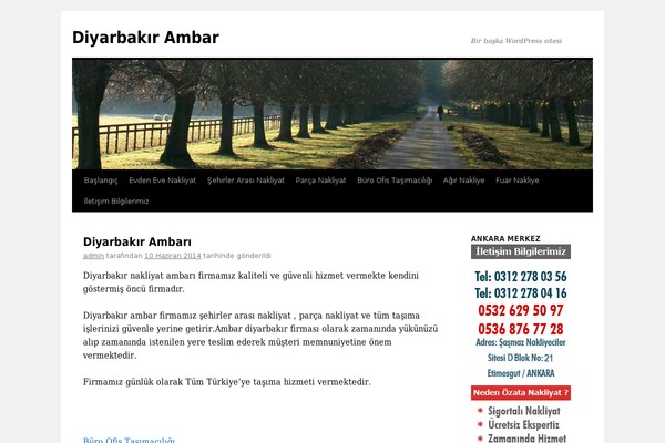 diyarbakirambar.com site used Twenty Ten