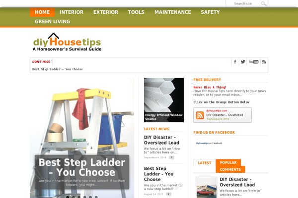 diyhousetips.com site used Max Mag