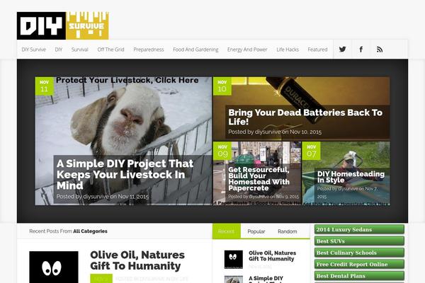 nexus-child-theme theme websites examples