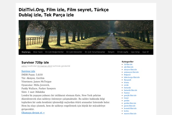 Twenty Ten theme site design template sample