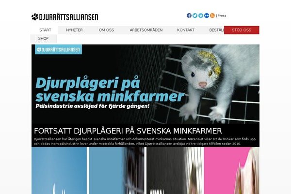 djurrattsalliansen.se site used Vektorcore