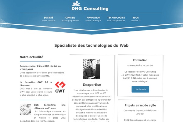 dng-consulting.com site used Cloudhoster-1-2-1