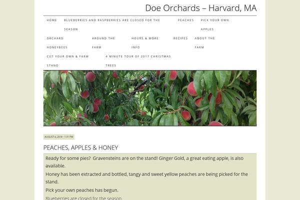 WordPress website example screenshot