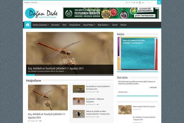 dogandede.com site used Sitetema