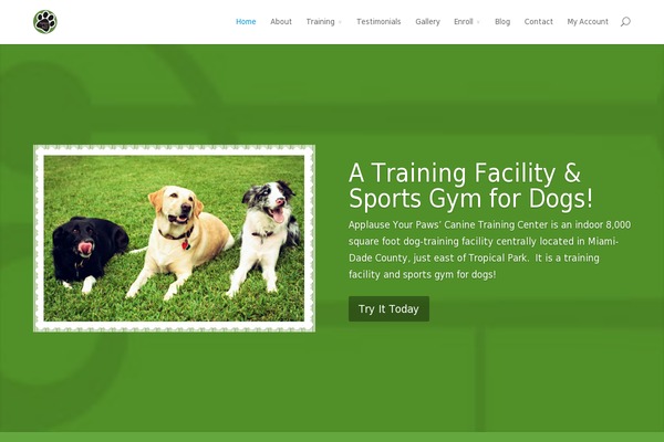 Divi theme site design template sample