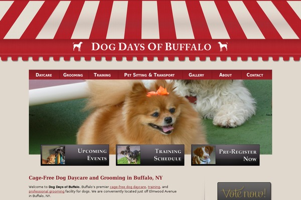 dogdaysofbuffalo.com site used Dogdays