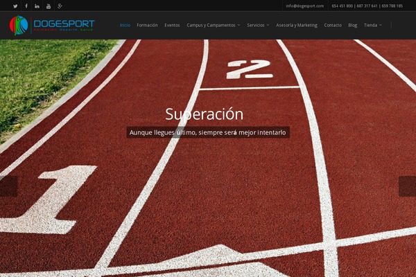 Salient theme site design template sample