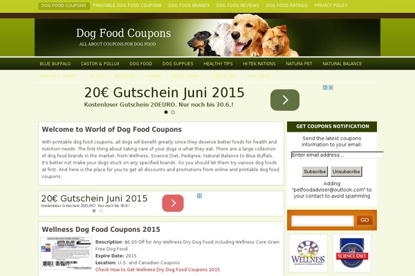zengard WordPress theme, websites list used zengard theme zengard theme websites examples