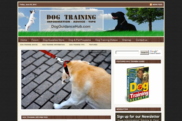 dogguidancehub.com site used Theme_1