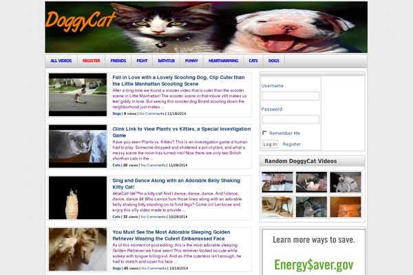 doggycat.com site used Wp Tube 2