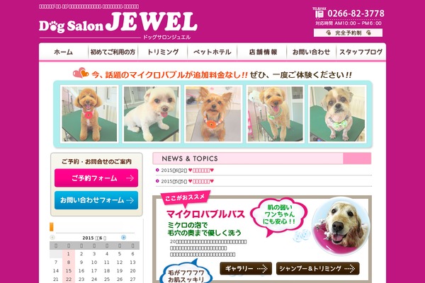 Jewel theme site design template sample