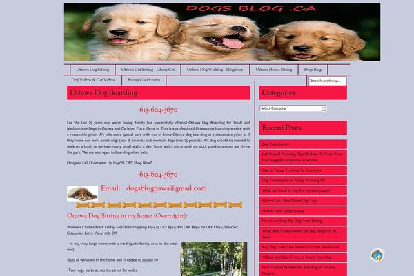 WordPress website example screenshot