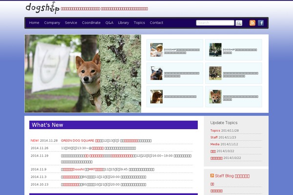WordPress website example screenshot