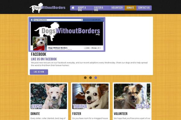 dogswithoutborders.org site used Dwbresponsive