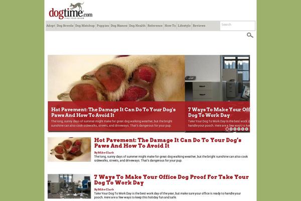 dogtime.com site used Evolve-media