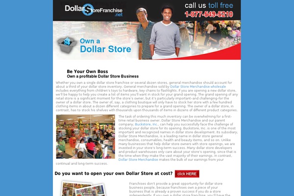 dollarstorefranchise.net site used Dsf