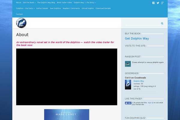 dolphin-way.com site used Aquamag-responsive-magazine-theme