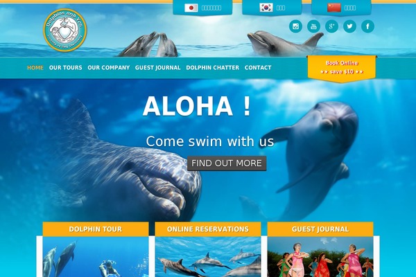 dolphins-and-you theme websites examples