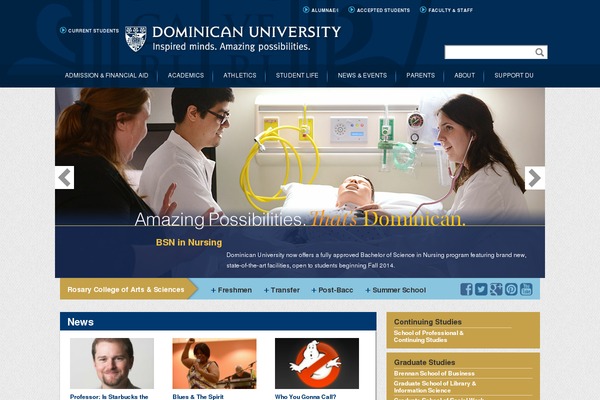 dominican WordPress theme, websites list used dominican theme dominican theme websites examples