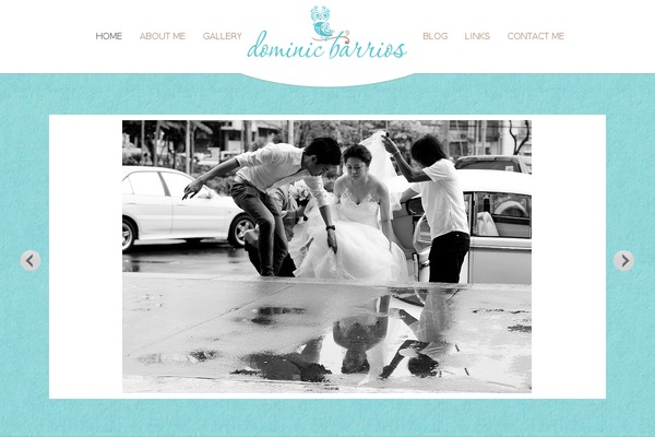 ProPhoto 5 theme site design template sample
